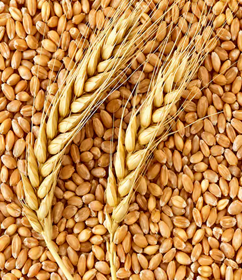 Hansuja Premium Chakki Fresh Atta